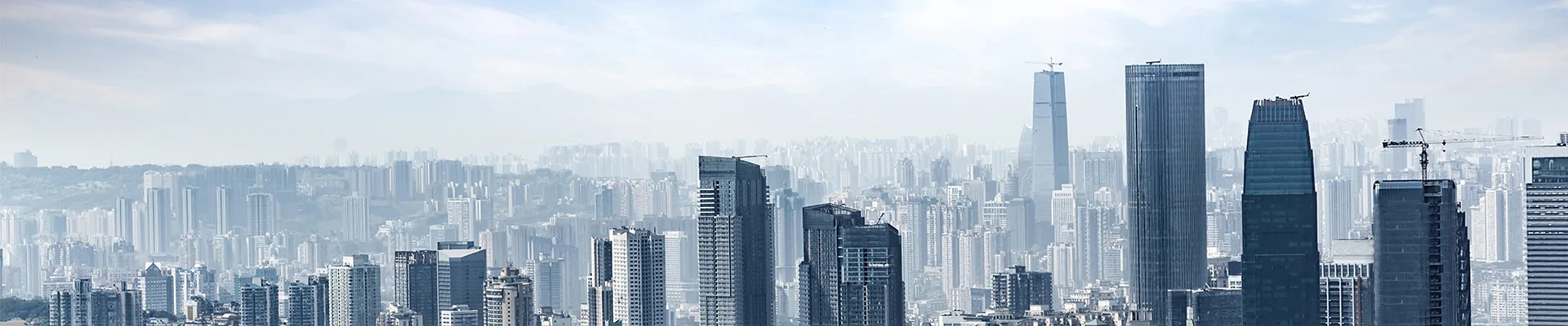 プライバシーポリシー